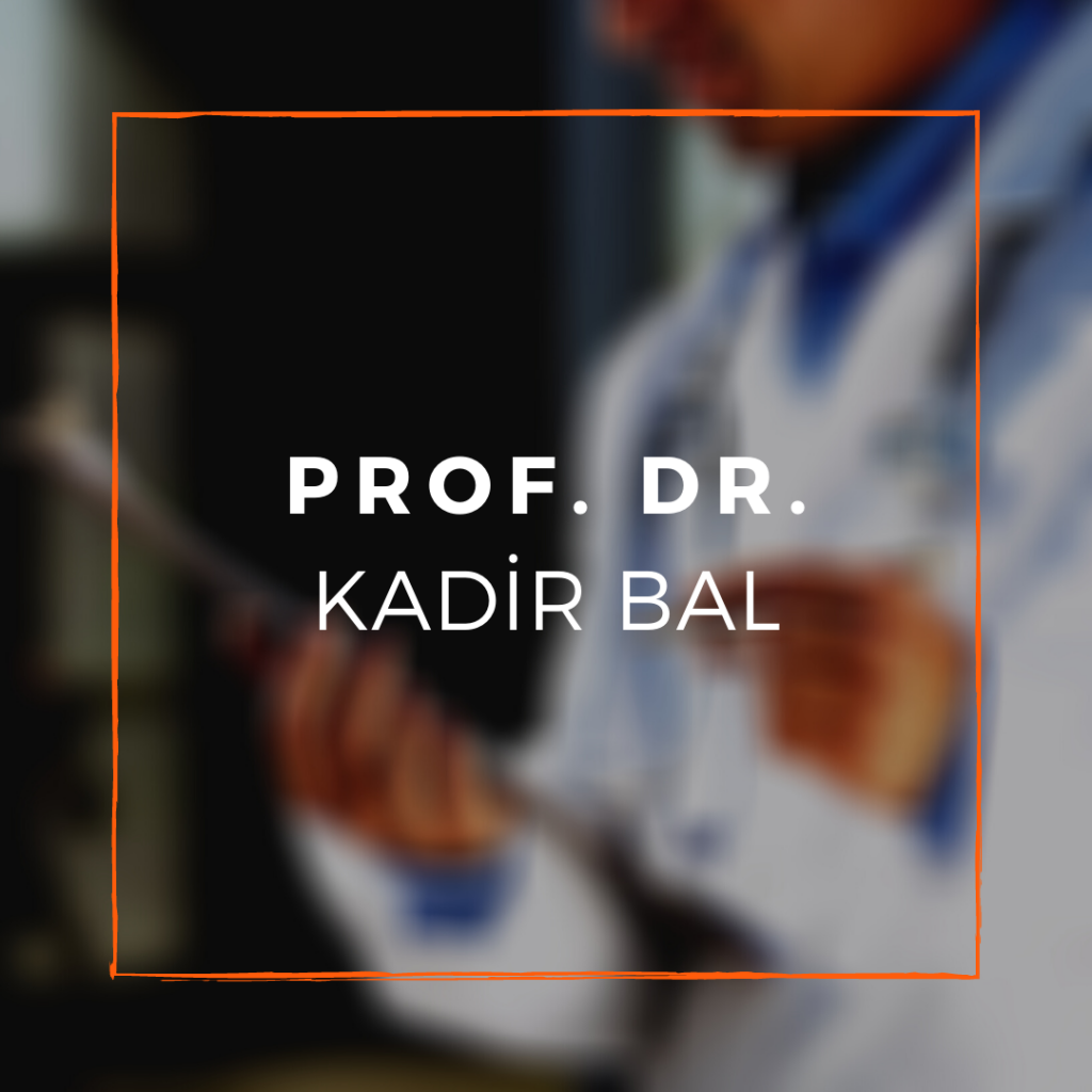 Prof. Dr. Kadir Bal